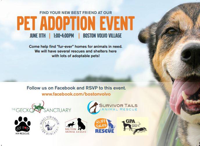 dog rescue events near me