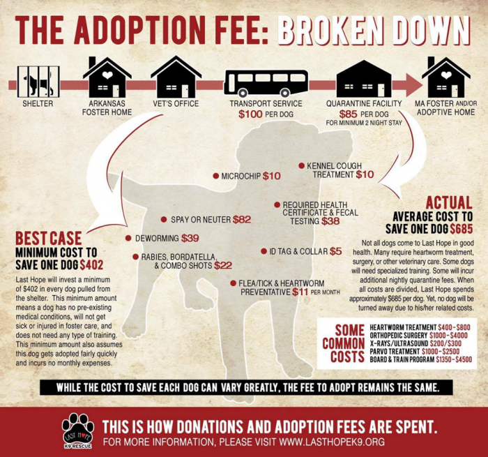 Adoption Information Last Hope K9 Rescue