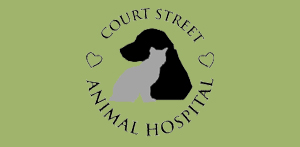 Logo for Court Street Animal Hospital