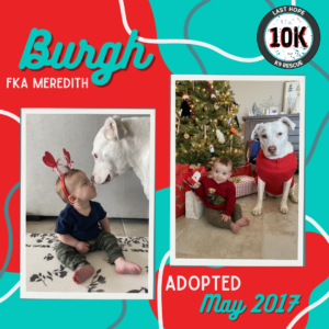 Burgh's FURever