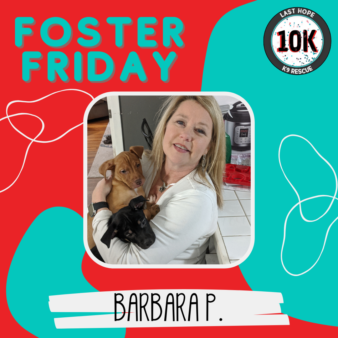Foster Friday: Barbara P.