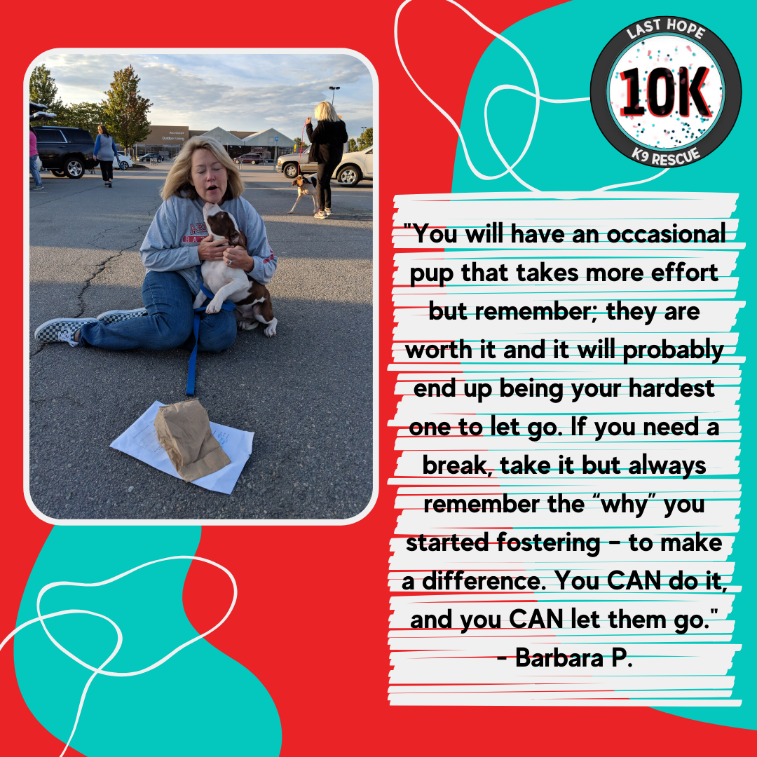 Foster Friday: Barbara P.