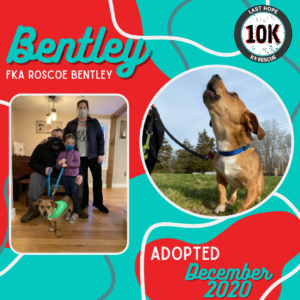 Bentley's Adoption Story