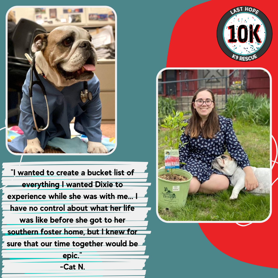 Hospice Foster Program