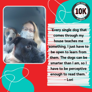 Foster Friday: Meet Lori P.