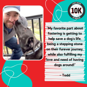 Foster Friday: Todd H.