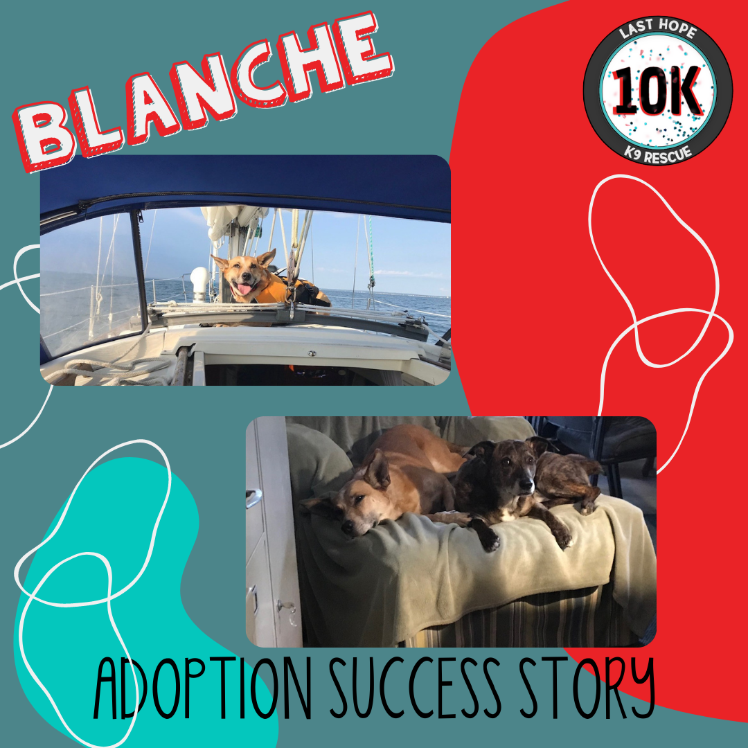 Blanche Adoption Story