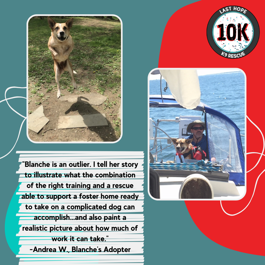 Blanche Adoption Story 2