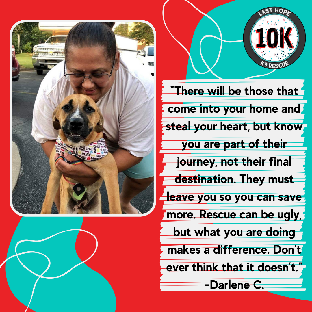Foster Friday Darlene 2