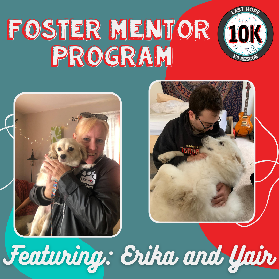 Foster Mentor 1