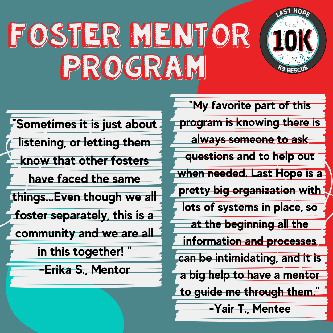 Foster Mentor 2
